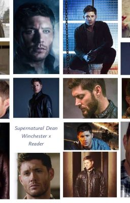 Read Stories Supernatural Dean Winchester x Reader Completed