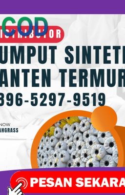0896-5297-9519 (WA), Jual Rumput Sintetis Banten di Cibodasari
