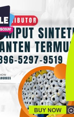 0896-5297-9519 (WA), Jual Rumput Sintetis Banten di Ciwaduk