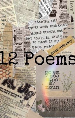 12 Different Poems 