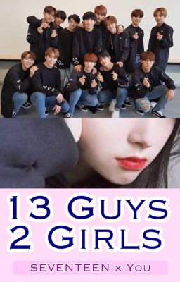 13 Guys, 2 Girls | Seventeen × You