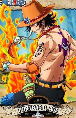 150 Things Portgas D.  Ace is NOT allowed to do