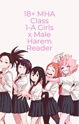 18+ MHA Class 1-A Girls x Male Harem Reader