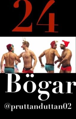 24 bögar