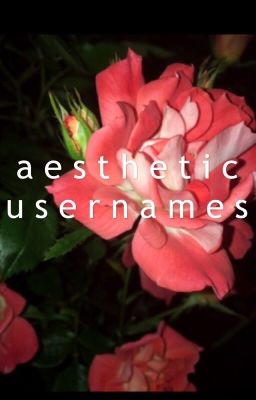 ☆ ✎ a e s t h e t i c  u s e r n a m e s ✐ ☆