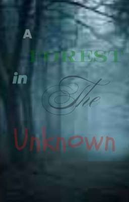 ◇《A Forest in the Unknown》◇