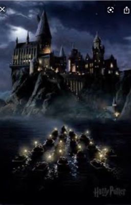 A Hogwarts Reunion