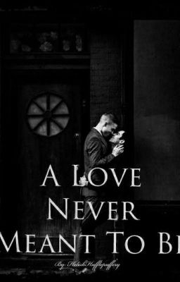A Love Never Meant To Be (Completed)