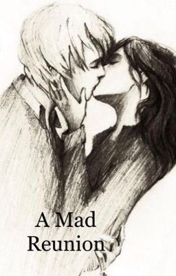 Read Stories A Mad Reunion ✔️ - TeenFic.Net