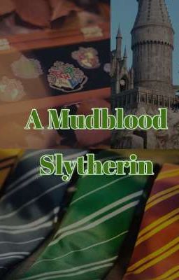 A Mudblood Slytherin ( Draco Malfoy × Reader) Book 1