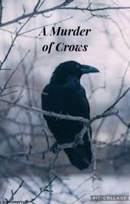 A Murder by Crows