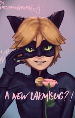 Read Stories A new ladybug?! Chat noir/Adrien Agreste x reader - TeenFic.Net