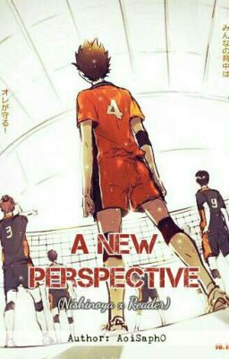 A New Perspective || Nishinoya x Reader