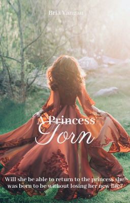 A Princess Torn (Alys Book #2)