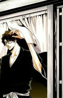 A Severe Void {Aizen Sousuke x Reader}