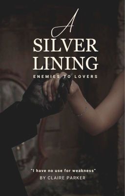 A Silver Lining ┃ D.M. (18+)