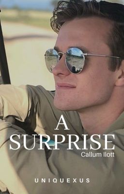 A Surprise ⇢ Callum Ilott