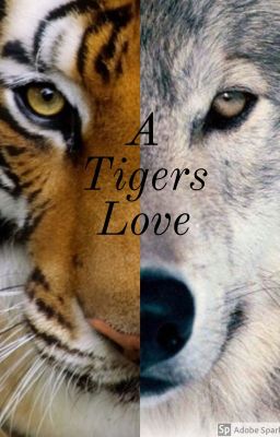 A Tigers Love✔ [Completed]