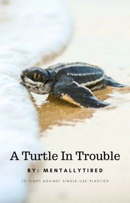 A Turtle in Trouble