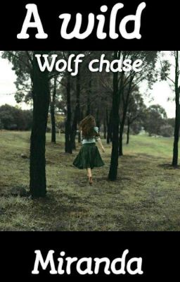 A Wild Wolf Chase
