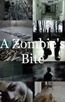 A Zombies Bite (Z Nation 10k Fan Fic)