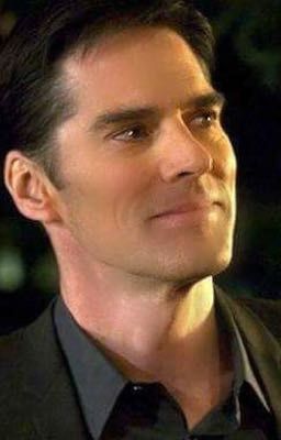 Aaron Hotchner x reader 