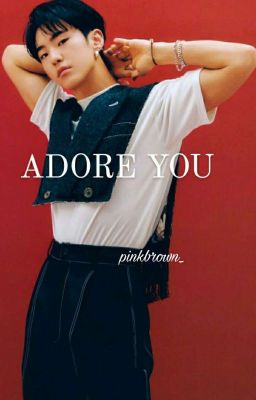 Adore You || hoshi ff 