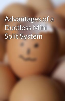 Advantages of a Ductless Mini Split System