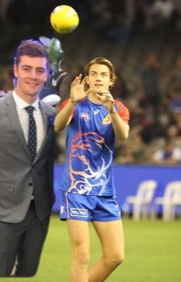 afl fanfic