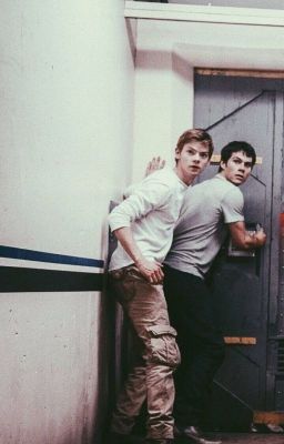 Always together (Newtmas)