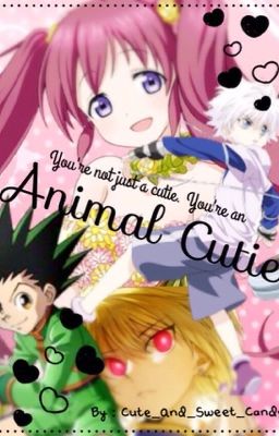 Animal Cutie (Hunter X Hunter Fanfiction) [Killua X Reader X Gon X Kurapika]