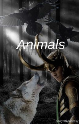 Animals (Loki x reader)