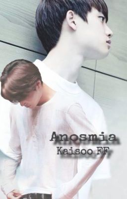 Anosmia - Kaisoo (Traducción)