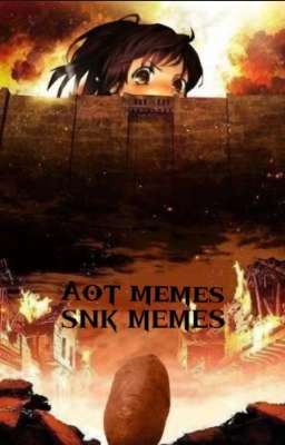 Aot memes /AOT memes 