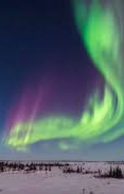 Arctic Borealis