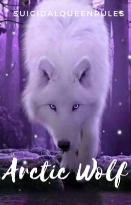 Arctic Wolf