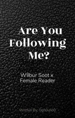 Are You Following Me?      Wilbur Soot x Female Reader