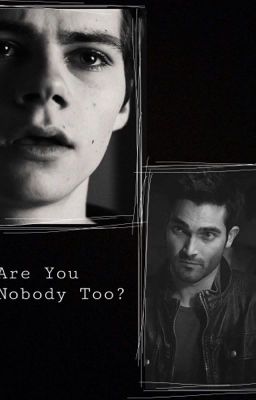 Are You Nobody Too? (A Sterek Story)