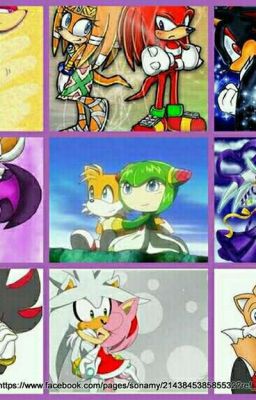 Ask or Dare the sonic COUPLES