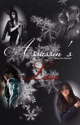 Assassin's Love (Bucky Barnes/Winter Soldier Fan Fiction)