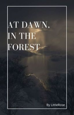 At Dawn, in the Forest