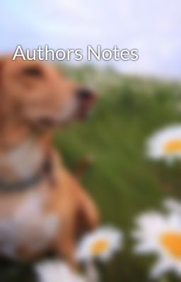 Authors Notes
