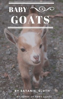 Baby Goats