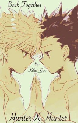 Back together Hunter x Hunter (killugon)