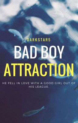 Bad Boy Attraction [On-Hold]