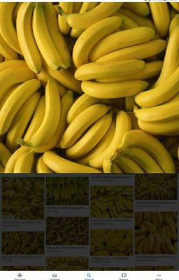 Bananas