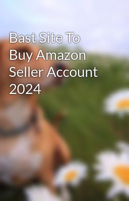 Bast Site To Buy Amazon Seller Account 2024