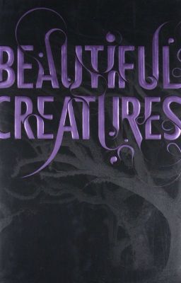 Beautiful Creatures // Jisungcentric 