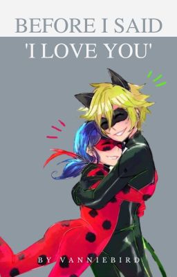 Before I said 'I love you' ~ A Miraculous Ladybug AU