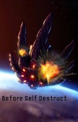 Before Self Destruct